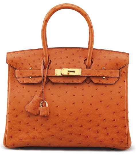 hermes tangerine|The Most Popular Ostrich Hermès Bags .